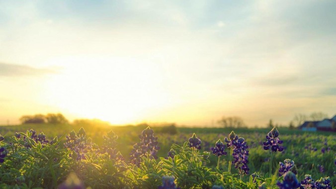 banner1